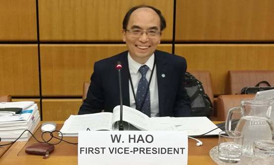 Professor Hao Wei